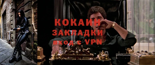 стаф Липки